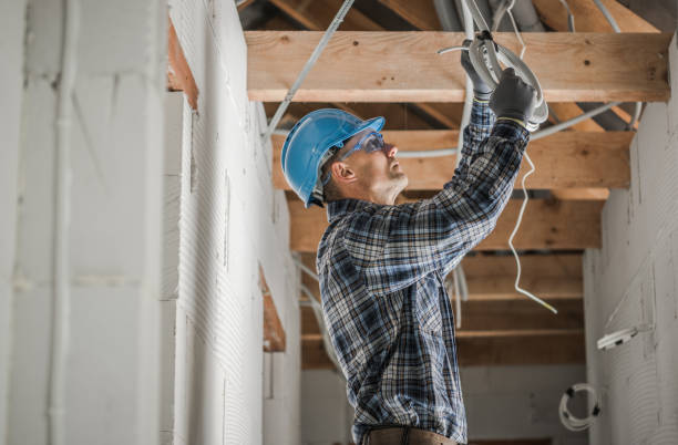 Best Electric Panel Repair  in Riley, KS